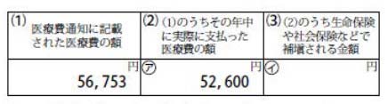 医療費控除の明細書の書き方／医療費通知に関する事項