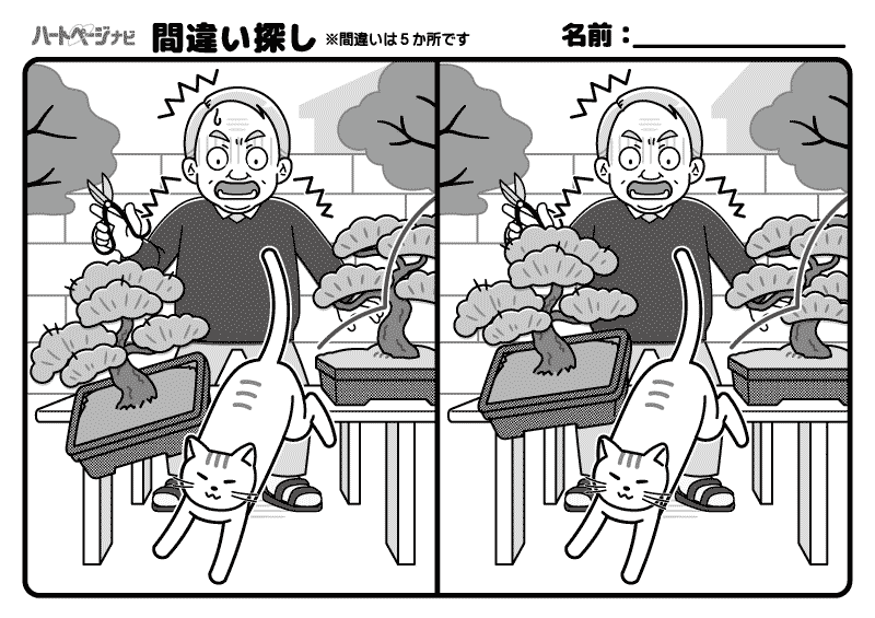 高齢者の間違い探し（難しい）／趣味の盆栽