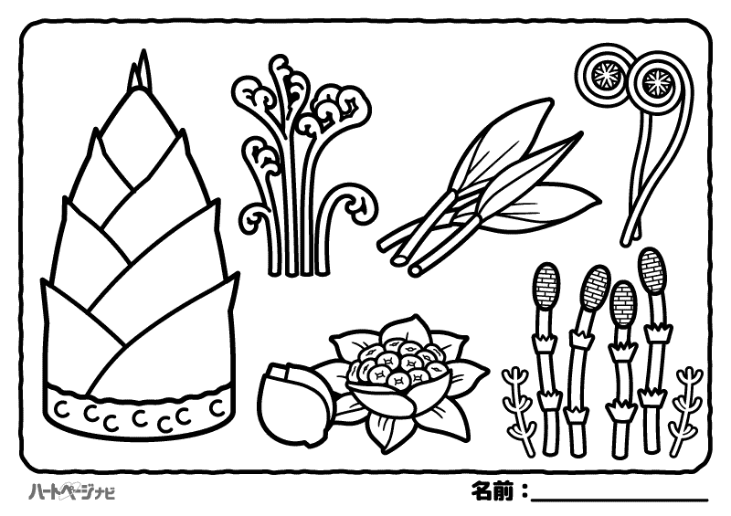 春の食べ物の塗り絵／山菜