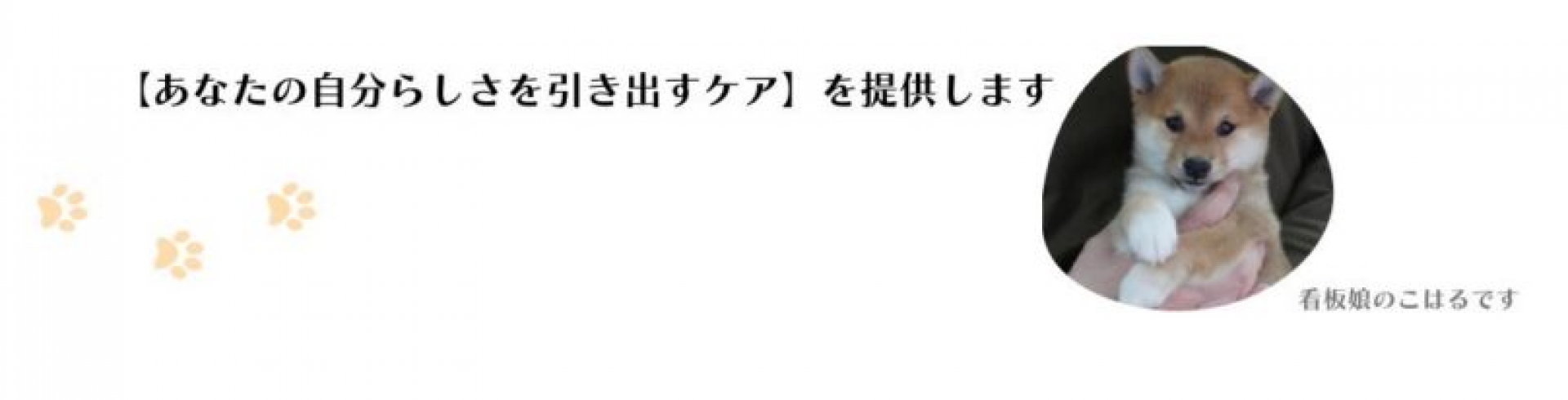 わんぽにー訪問看護